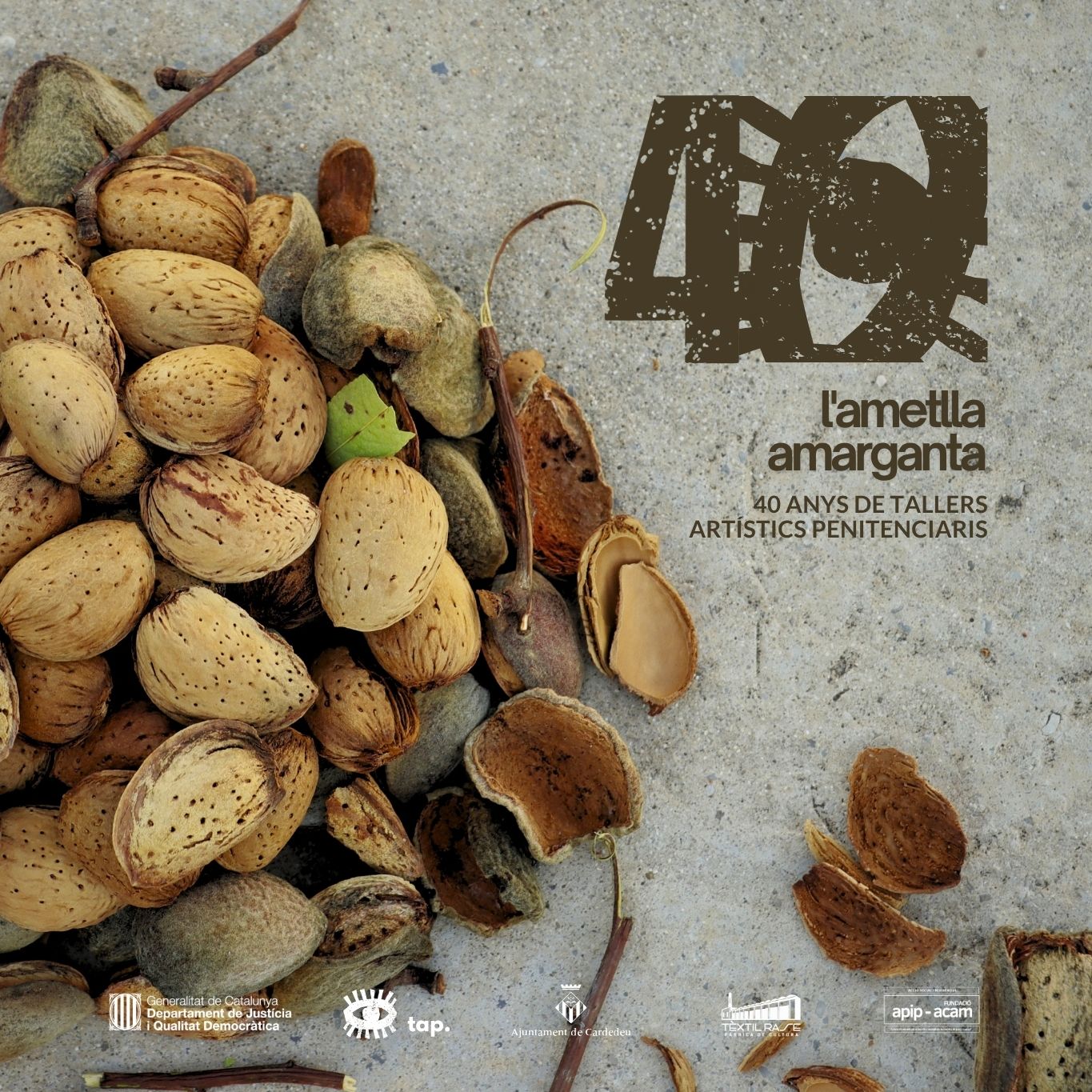 40 L'AMETLLA AMARGANTA